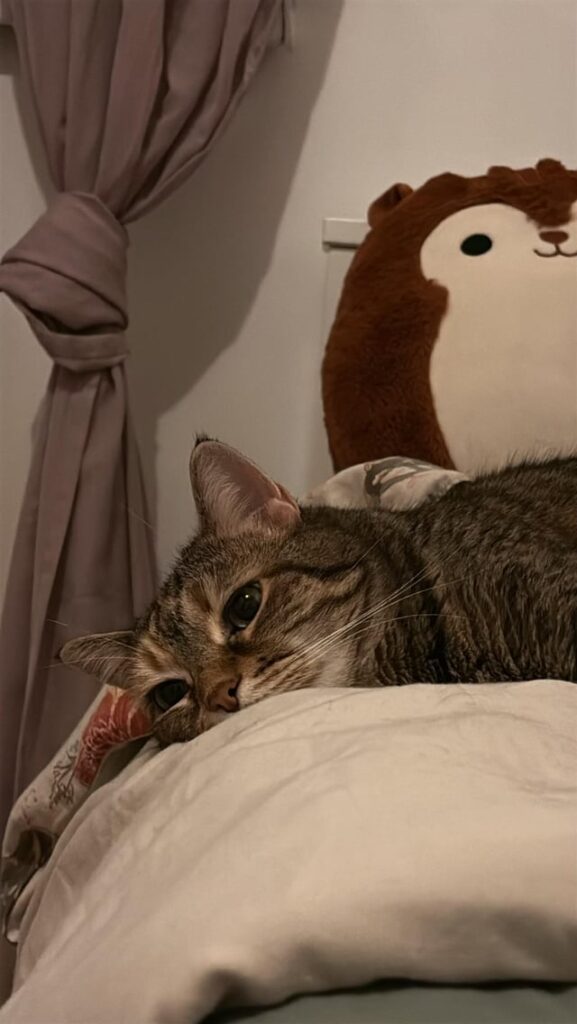 She’s thinking her cat thoughts