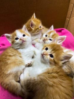 Should I keep them all?