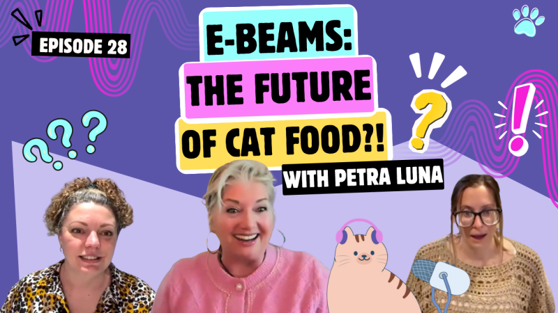 Chatting with Petra Luna About CatCrazy, Cat Food Ingredients & The
