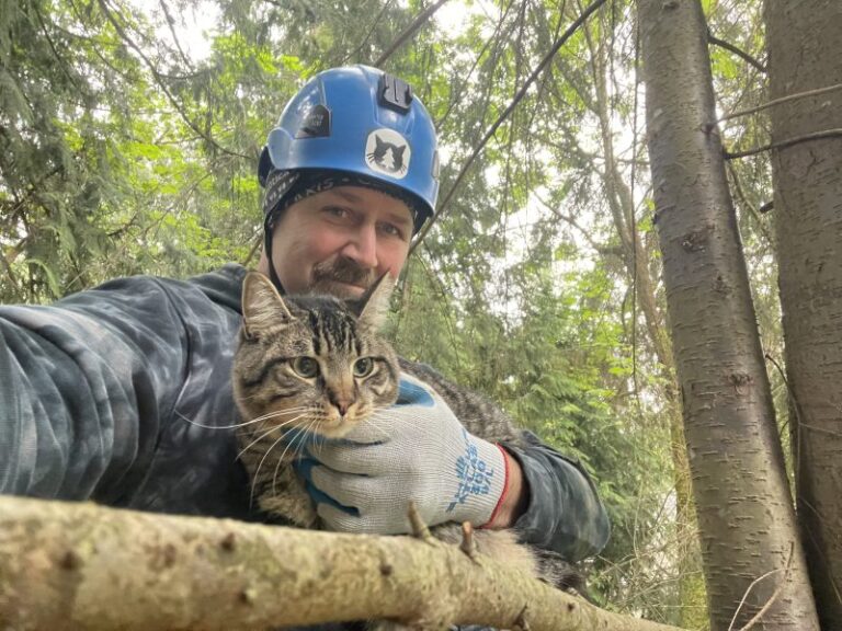 Canopy Cat Rescue: The Team Rescuing Cats From the Treetops | Heroes