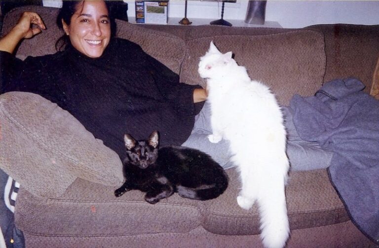 The Cat Who Changed Everything: Gwen Cooper on Homer, Hope, and Her