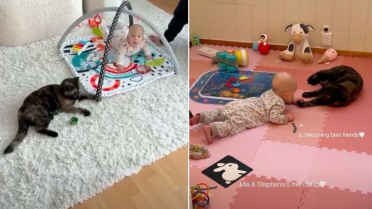 Cat’s First Meeting With Baby Evolves Into a Bond Neither Expected