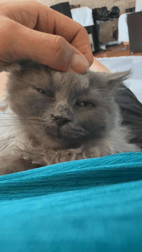 I grew older, but pet me, ‘cause I am still baby