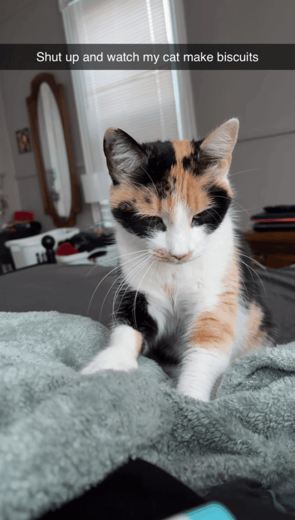 Morning biscuits