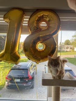 My floof Breakfast turned 18 today!