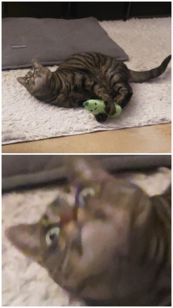 What on earth is that derpy face she’s making? Hahaha!