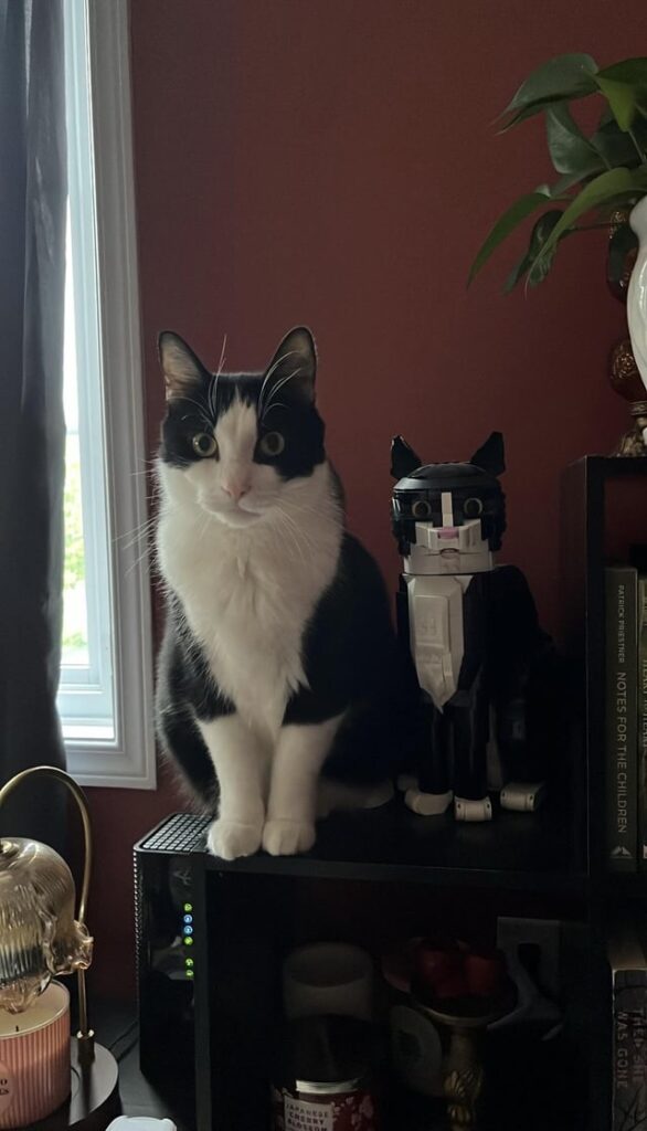 Can you tell which one is lego and which is real?