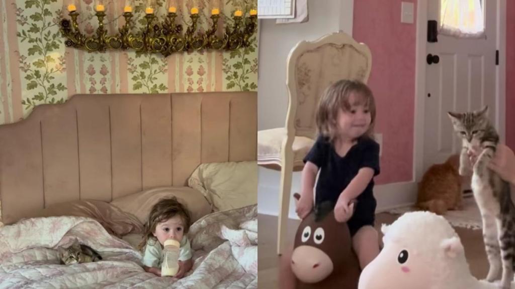 Rescue Cat’s Bond With Toddler Has Always Looked Like This & They