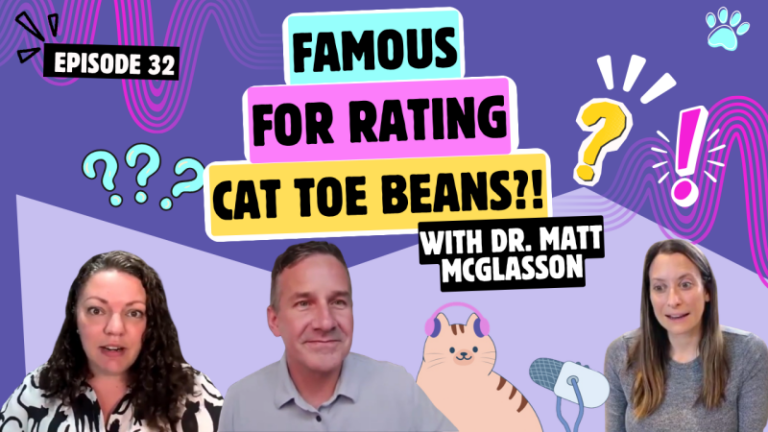 Chatting With Dr. Matt McGlasson About Special Needs Kitties, Social