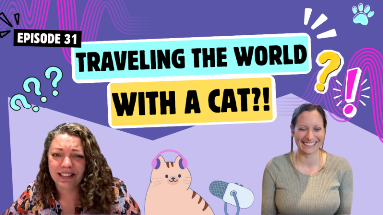 Chatting About Traveling With Cats, Beach Cats, and Telling Cats Off