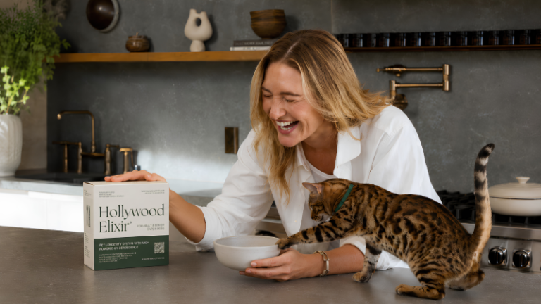 Invisible Aging In Cats: How Veterinary Geroscience Could Help Cats