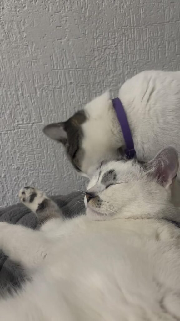 Why does she act like this with her 4yo baby?