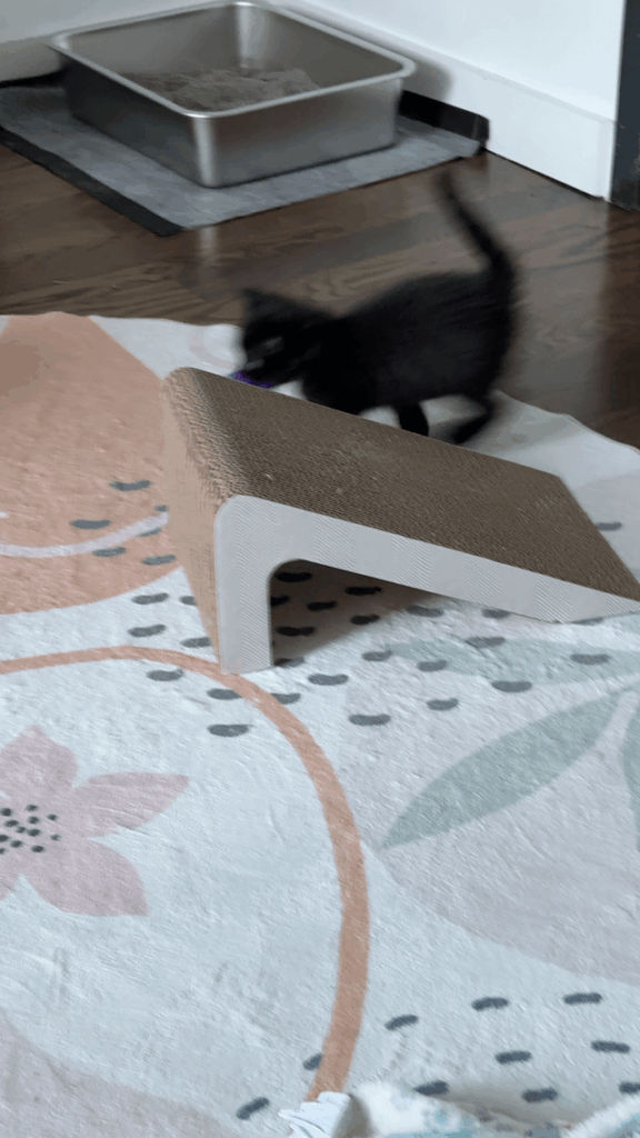 Pompom meets pompom.