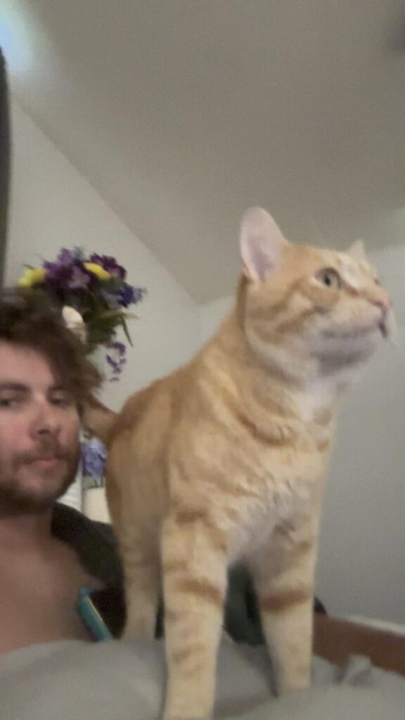 Georgie is displeased with my display of affection, but refuses to do