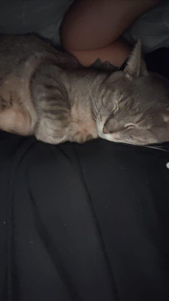 My baby always comes to me when it’s super cold