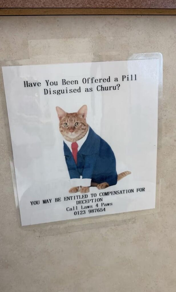 Oh no! They’re hiring pawtorneys.