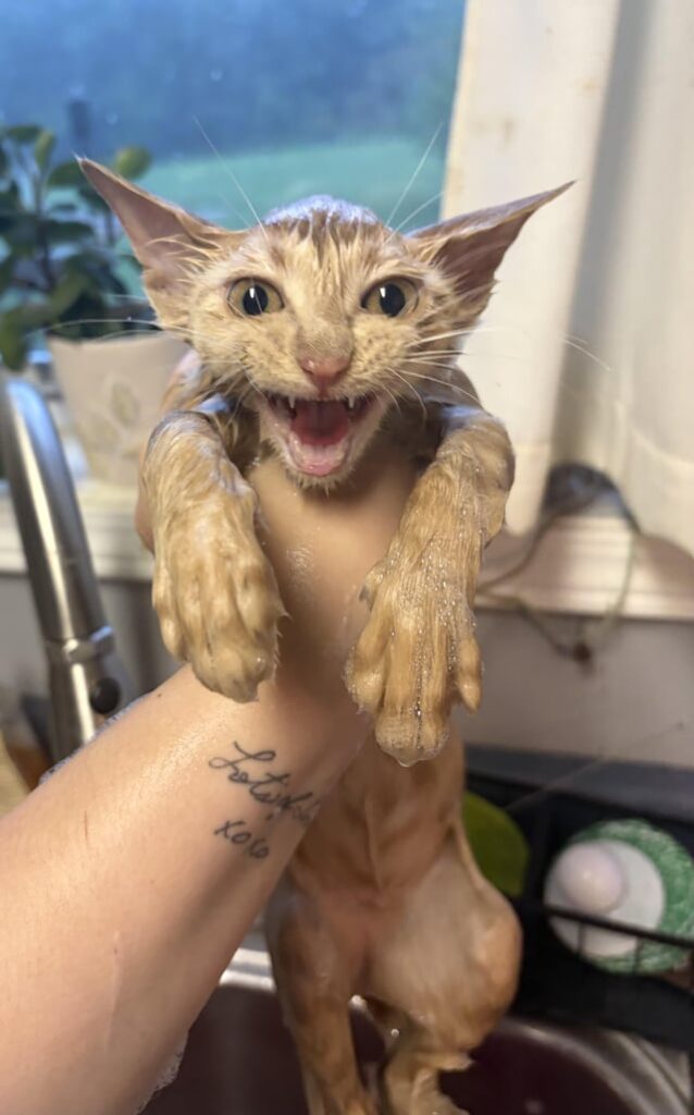 First bath