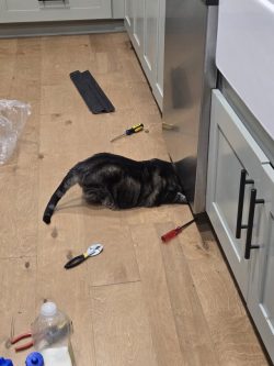 Kitty Forman said somebody’s gotta step up and fix the dishwasher