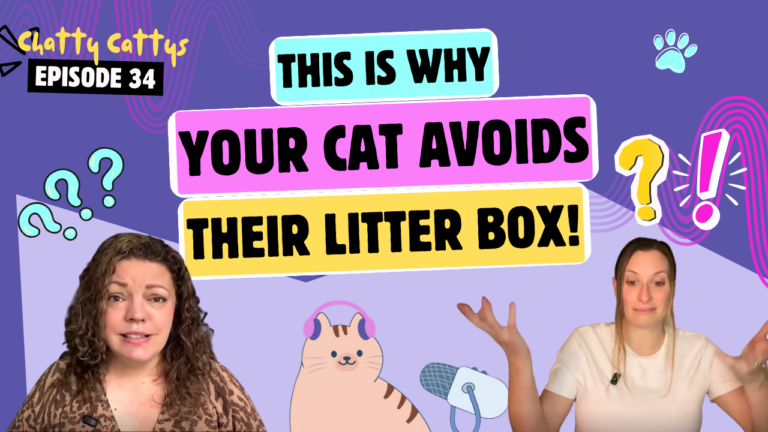 Chatting About Automatic Litter Boxes, Poop on the Floor, and Very