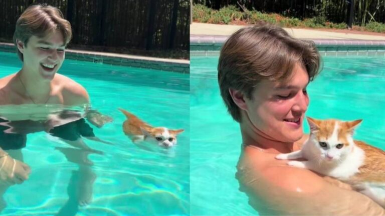 Owner Tries Getting Kitten Used To Water, but He’s Soon Leading the