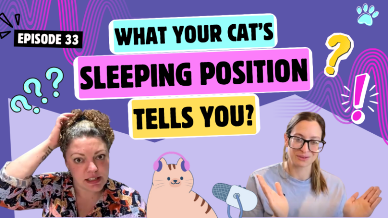 Chatting About Sleeping Positions, Loafing & Cats in Tubes | Chatty