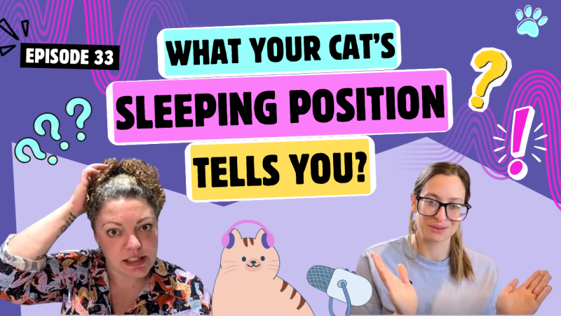 Chatting About Sleeping Positions, Loafing & Cats in Tubes | Chatty