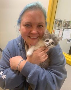 First Adoption Event for Kitten Named Marin Ends After Being Stolen