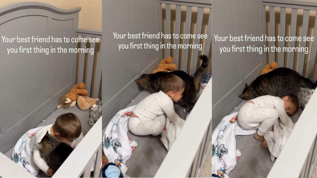 Cat Doesn’t Start His Morning Without Greeting Toddler & You Can Tell