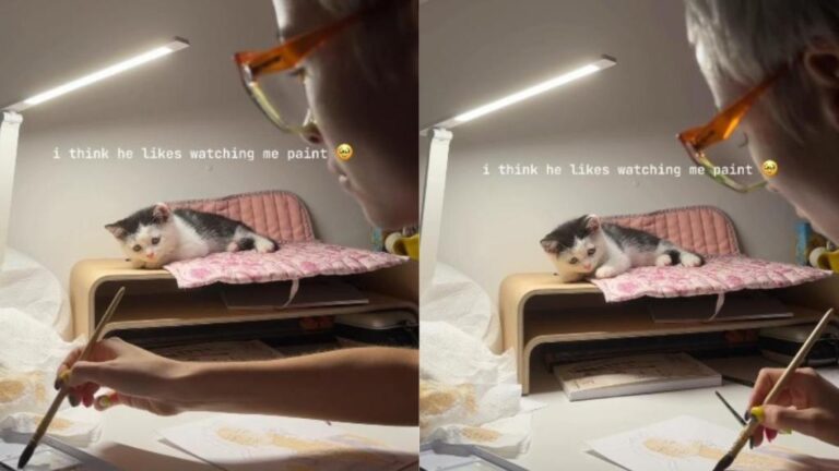 Cat Watches Every Step Owner Takes While Painting Like a Tiny