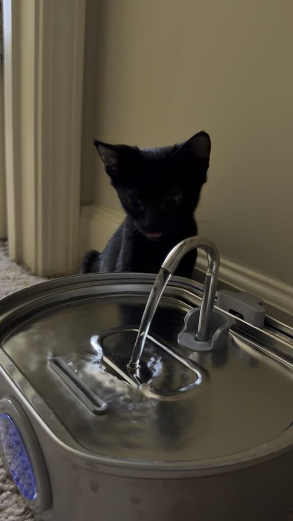 Why is she doing this?