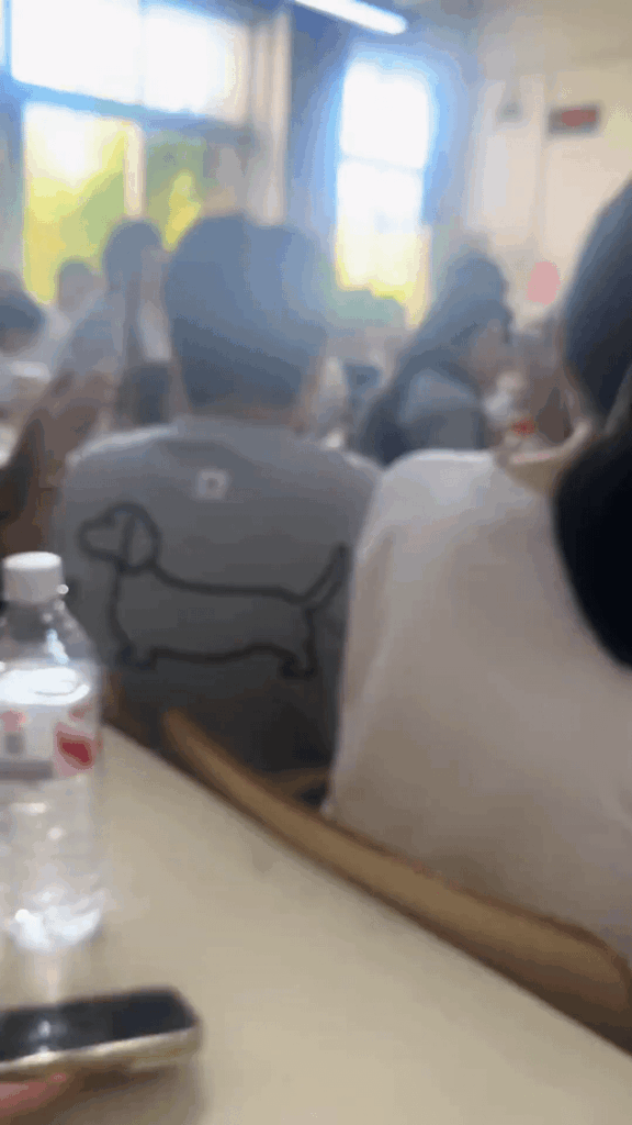 When there is a cat in a classroom