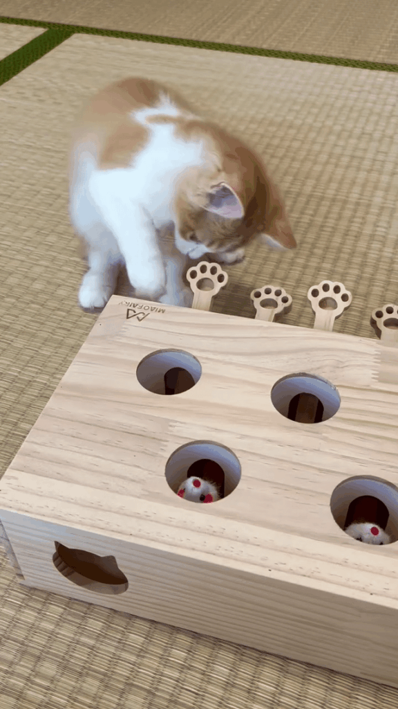 Some hunting skills are being learnt here
