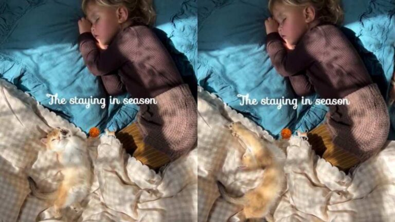 Cat Stretches Beside Tiny Human as a Little Sunshine Makes Their Cozy