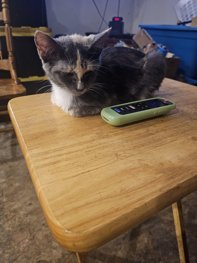 Criss loaf with tv remote for scale.