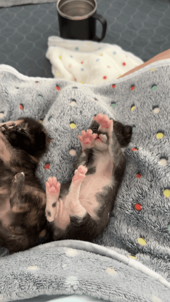 Put your hands in the air like you just don’t care.
