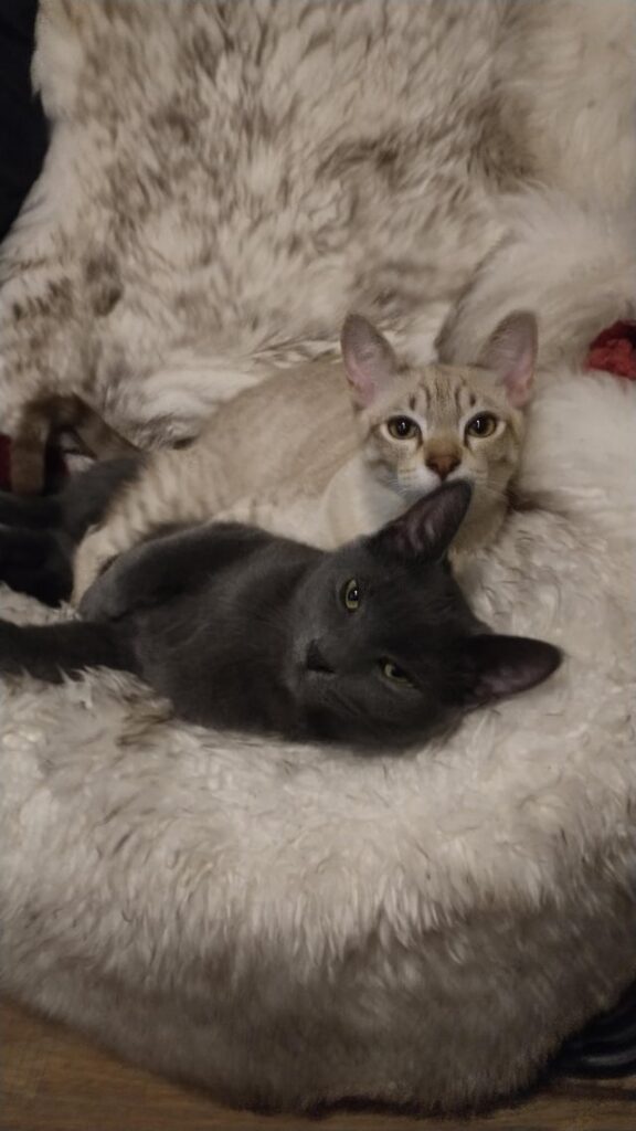 My two guys
