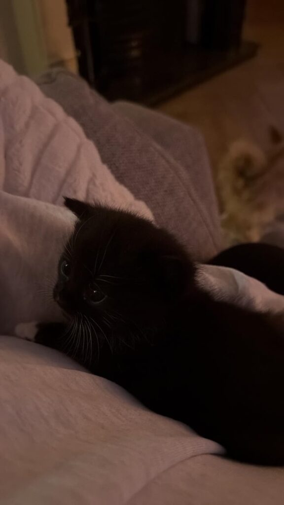 I’m so in love with her