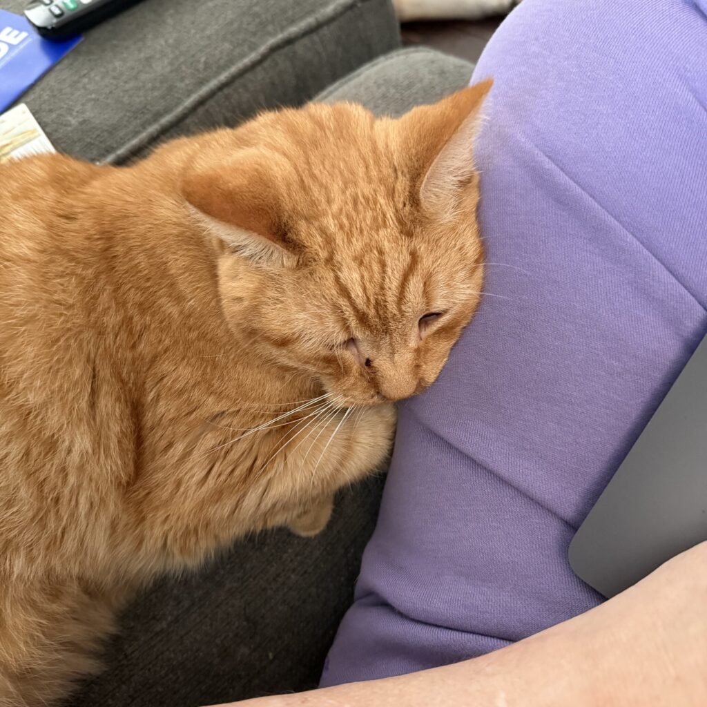 Sweet George